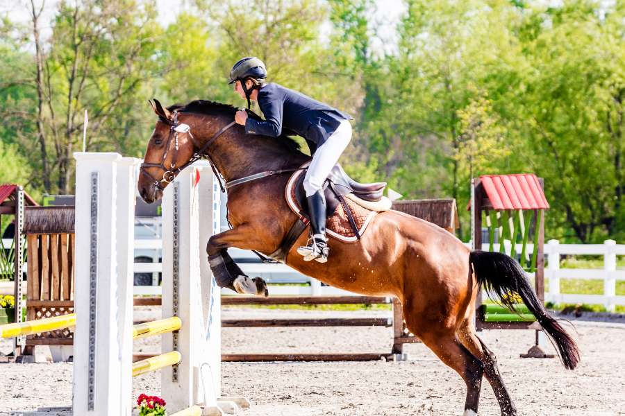 10 Crucial Signs Your Horse is Tired (And Why Riders Must Step Up)