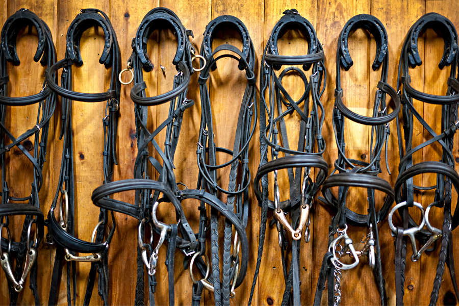 Bridles and Bits: How They Should Fit
