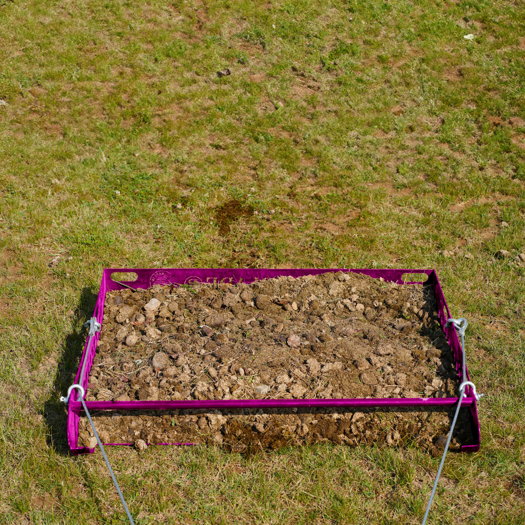 pink paddock blade horse poop picker upper