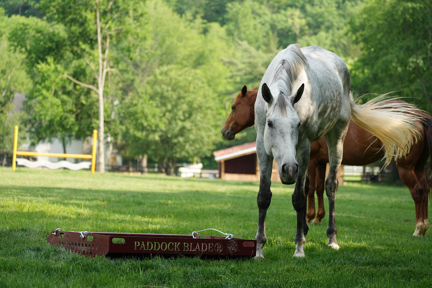 red paddock blade horse droppings collector