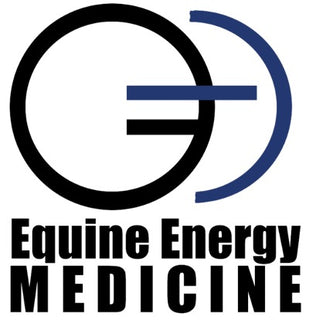 equine energy medicine