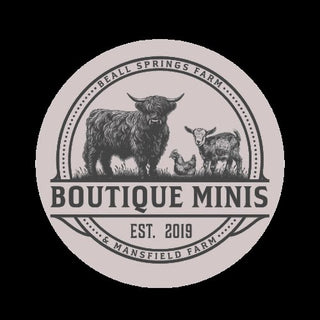 Boutique Minis Logo