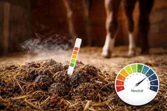 What Is the pH of Horse