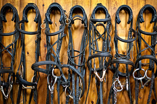 Bridles-and-Bits-How-They-Should-Fit Paddock Blade USA