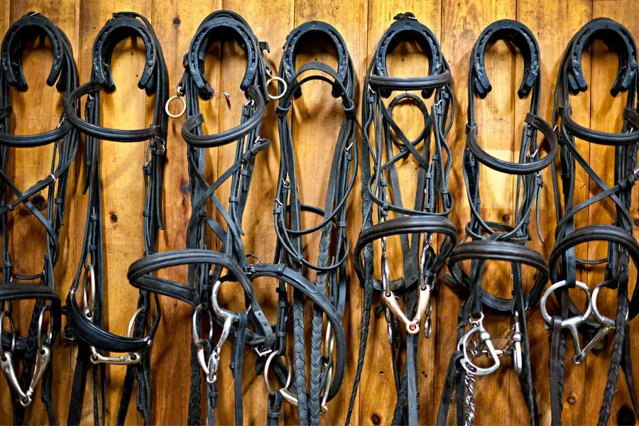 Bridles-and-Bits-How-They-Should-Fit Paddock Blade USA