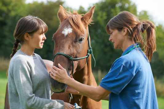 Facts You Need to Know About the Increasing Resistance to Parasites in Horse Deworming