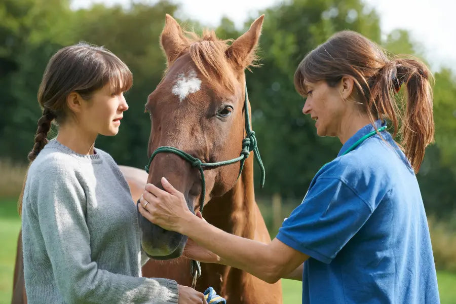 Facts-You-Need-to-Know-About-the-Increasing-Resistance-to-Parasites-in-Horse-Deworming Paddock Blade USA