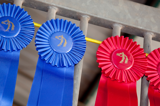 What To Expect At Spring Horse Shows