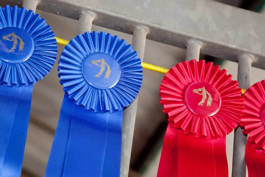 What-To-Expect-At-Spring-Horse-Shows Paddock Blade USA