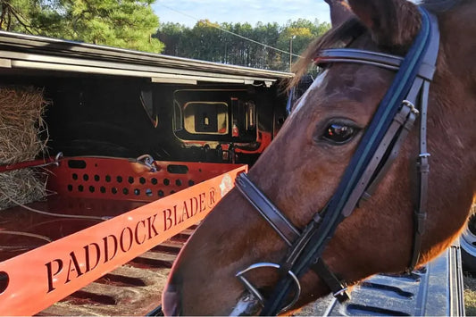 a horse next to a paddock blade manure collection tool