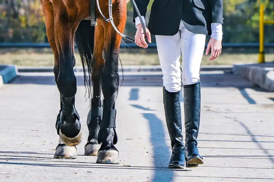 10-Must-See-Horse-Shows-in-the-U.S.-This-Spring-2025-Edition Paddock Blade USA