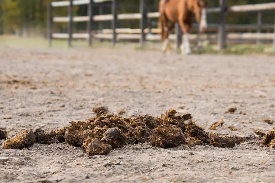 10-Powerful-Manure-Management-Practices-for-Small-Horse-Farms-in-the-USA Paddock Blade USA