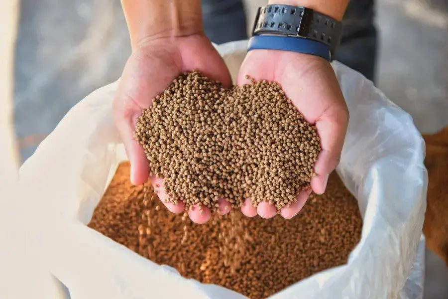 What-No-One-Tells-You-About-Keeping-Horse-Feeding-Areas-Clean-and-Safe Paddock Blade USA