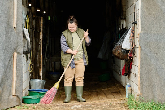 Essential Tools for Keeping Your Paddocks Clean Year-Round