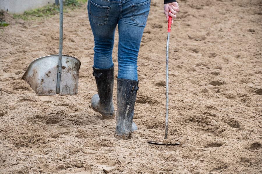 How to Remove Horse Manure from Your Pasture