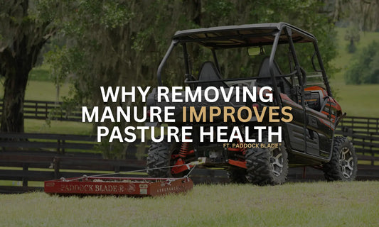 Why Removing Horse Manure Improves Pasture Health
