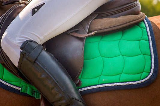 Must-Have Summer Riding Gear for You and Your Horse