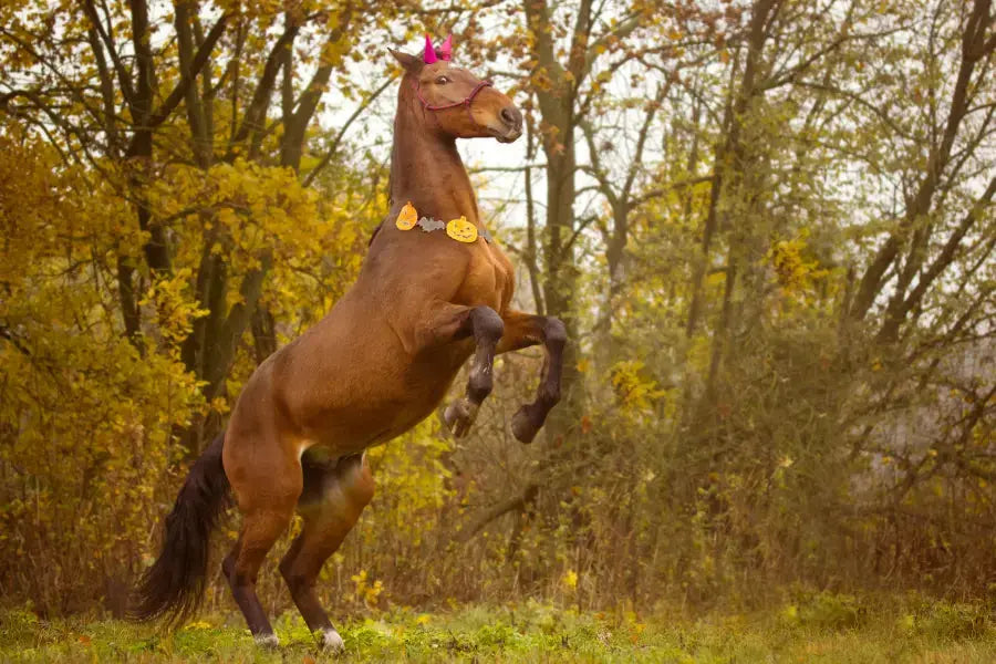 Spooky-Horse-Stories-for-Halloween-Tales-from-the-Paddock Paddock Blade USA
