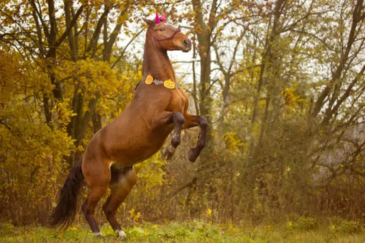 Spooky-Horse-Stories-for-Halloween-Tales-from-the-Paddock Paddock Blade USA