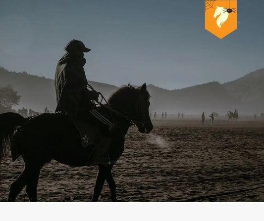 Beginner Horse Riding Mistakes