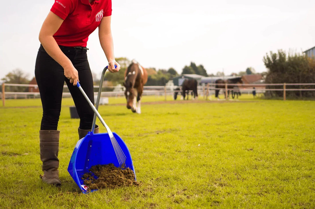 Does Horse Manure Pose a Significant Risk to Human Health?