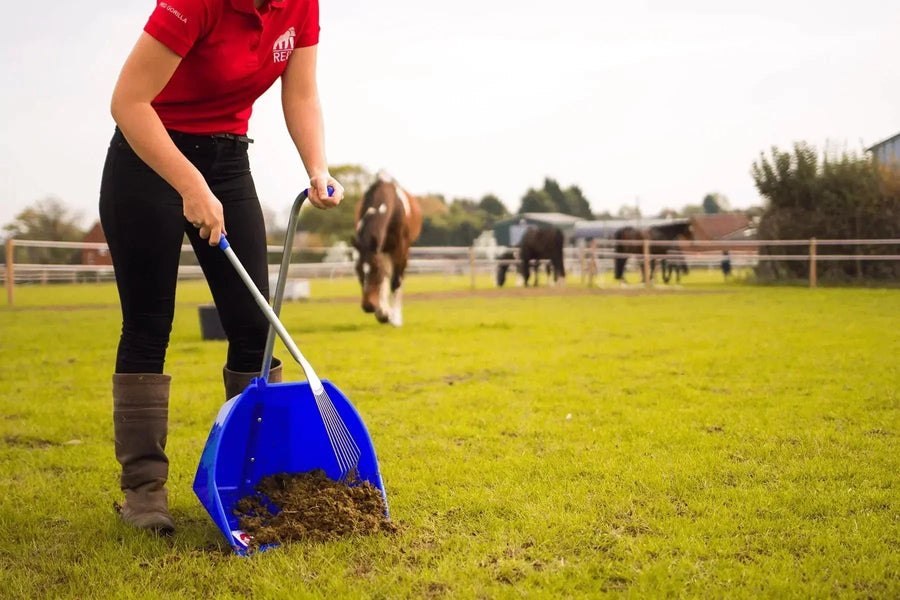 Does-Horse-Manure-Pose-a-Significant-Risk-to-Human-Health Paddock Blade USA