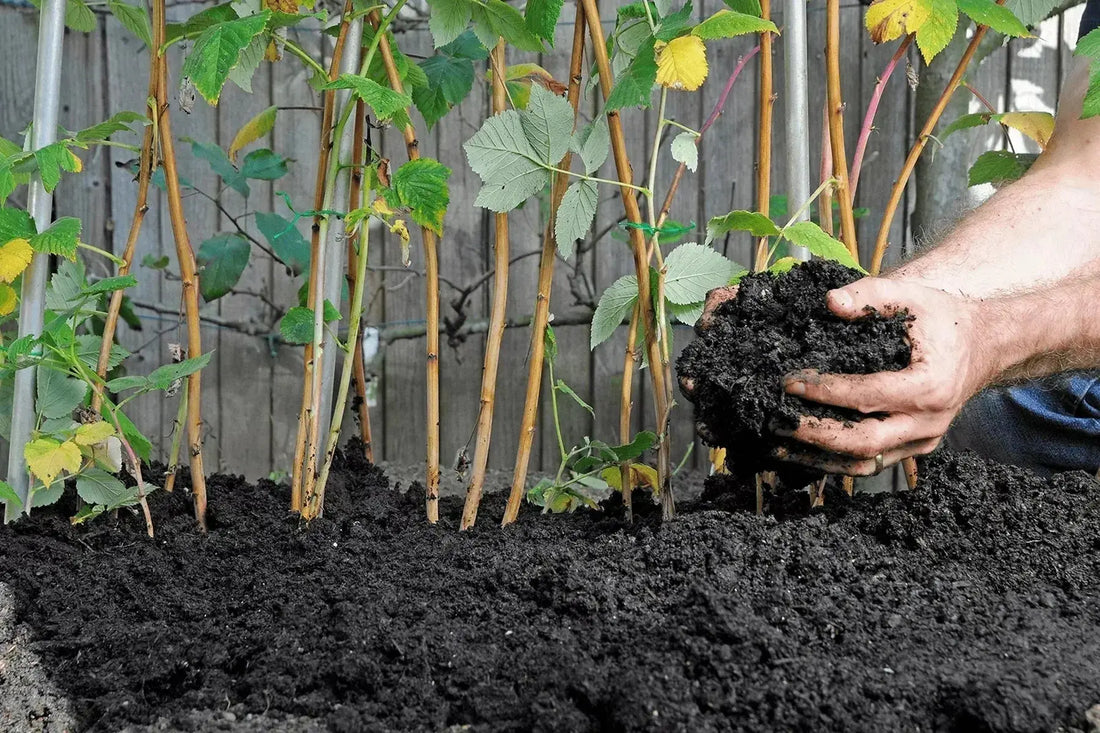 How-to-Use-Horse-Manure-as-Fertilizer-A-Complete-Garden-Guide Paddock Blade USA