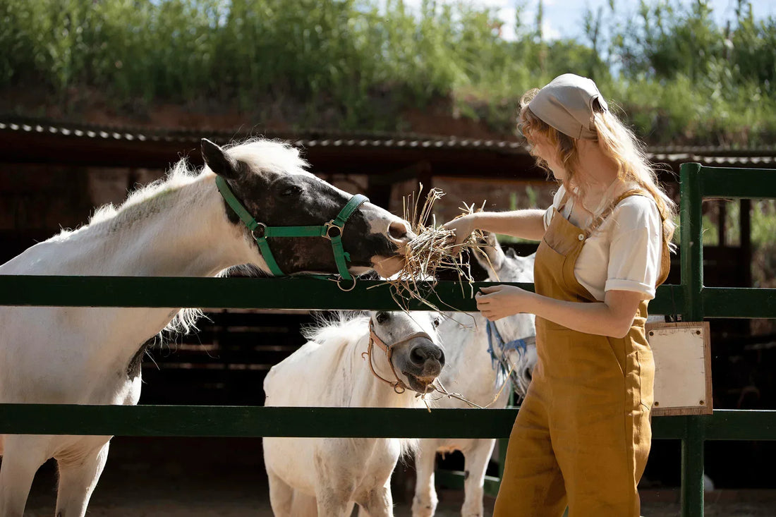 What Can Horses Eat? Your Essential Guide