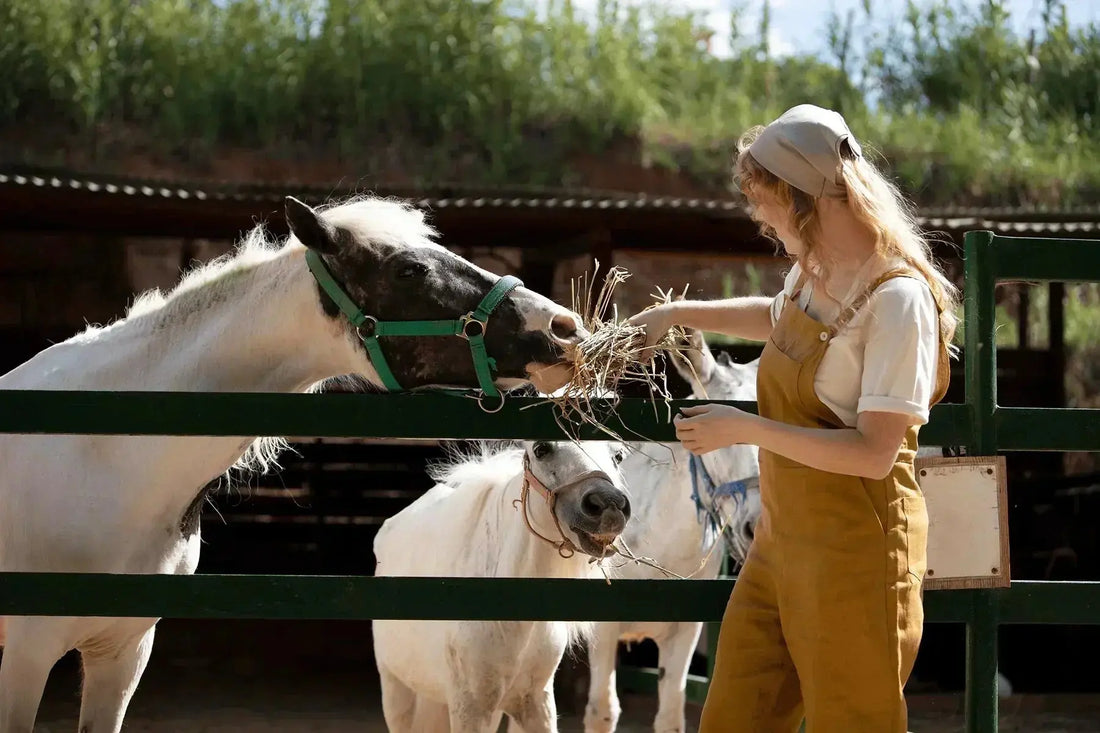 What-Can-Horses-Eat-Your-Essential-Guide Paddock Blade USA