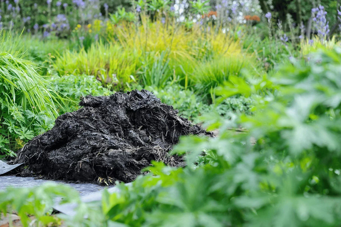 How to Use Horse Manure Compost in 10 Steps?