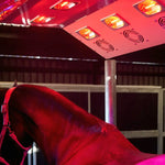 Aurora Closed Canopy Horse Therapy Solarium | Premium American Made ( Back Order Now for & Save $250) Paddock Blade USA