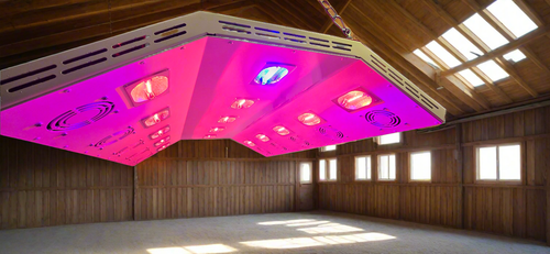 Aurora Closed Canopy Horse Therapy Solarium | Premium American Made | ( Back Order Now for Fall & Save )